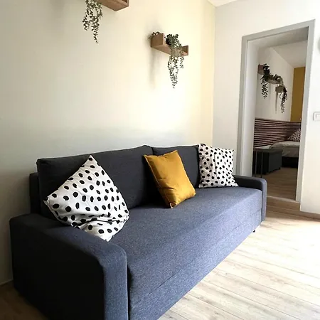 Be-0 - Joli 2 Pieces Pour 1-2 Pers Au Rdc Au Centre De 아파트 뮐루즈