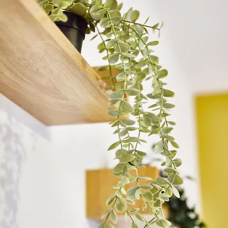 Be-0 - Joli 2 Pieces Pour 1-2 Pers Au Rdc Au Centre De 뮐루즈