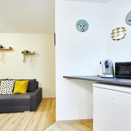 Be-0 - Joli 2 Pieces Pour 1-2 Pers Au Rdc Au Centre De 뮐루즈