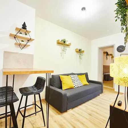 아파트 Be-0 - Joli 2 Pieces Pour 1-2 Pers Au Rdc Au Centre De 뮐루즈