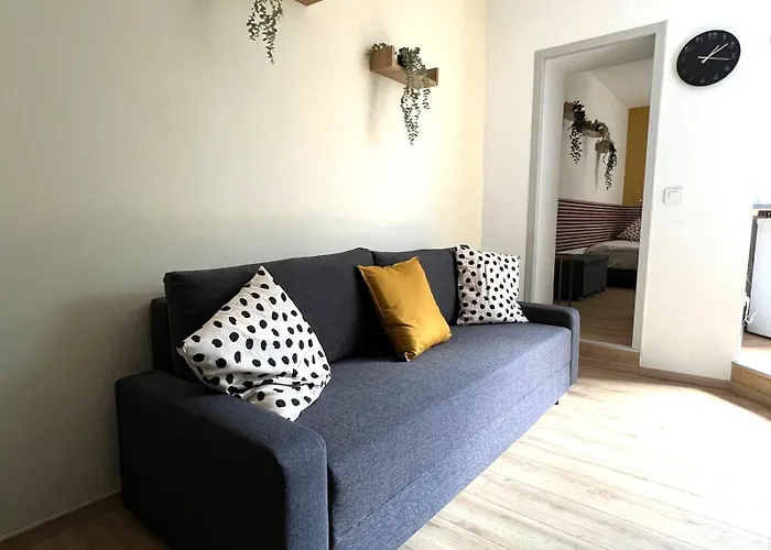 Be-0 - Joli 2 Pieces Pour 1-2 Pers Au Rdc Au Centre De Apartment Mülhausen