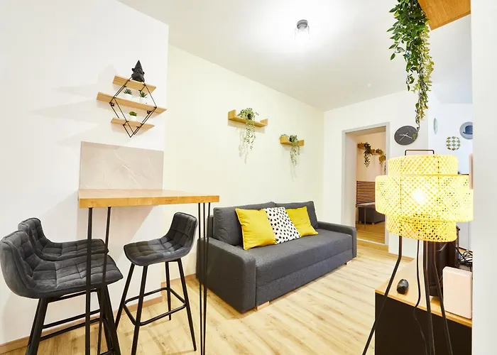 Apartment Be-0 - Joli 2 Pieces Pour 1-2 Pers Au Rdc Au Centre De Mülhausen